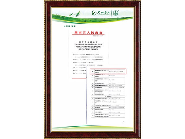 2016年湖南省人民政府公布第四批省級非物質文化遺產代表性項目